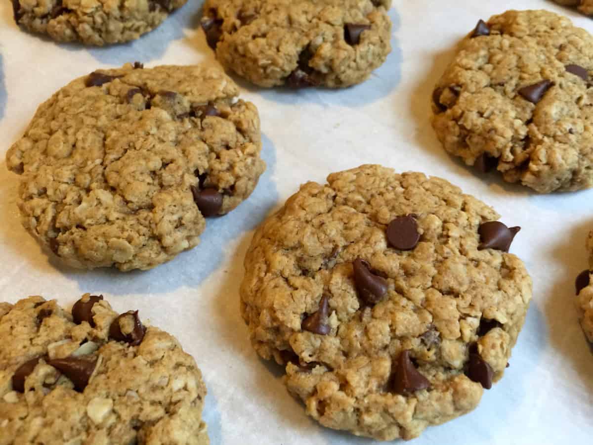 Indulge Guilt-Free: Healthy Flourless Peanut Butter Oatmeal Cookies
